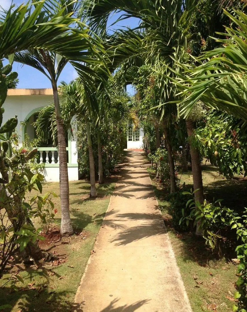 Hidden Paradise Resort Hotel Negril